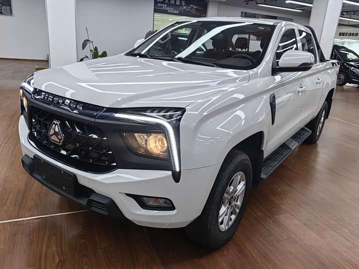 Poer 2024 Commercial 2.0T Diesel 4WD Automatic Long Wheelbase Luxury Edition