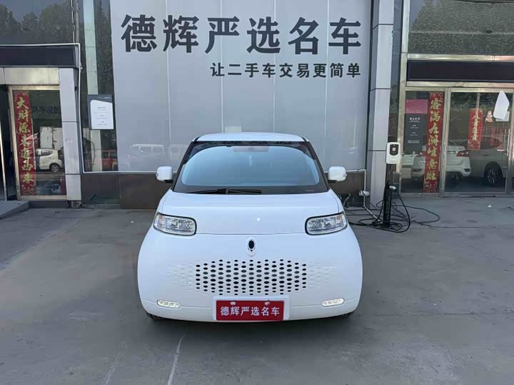 2021 Euler White Cat 2020 Model 360km StandardModel