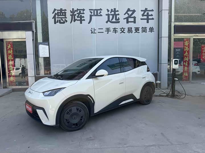 Seagull 2023 Model Vitality Edition