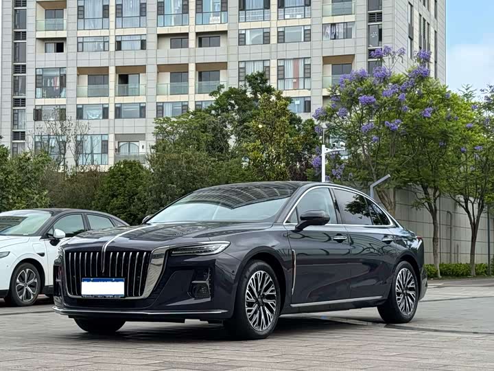 Hongqi H5 2024 2.0T automatic smart connected flag version