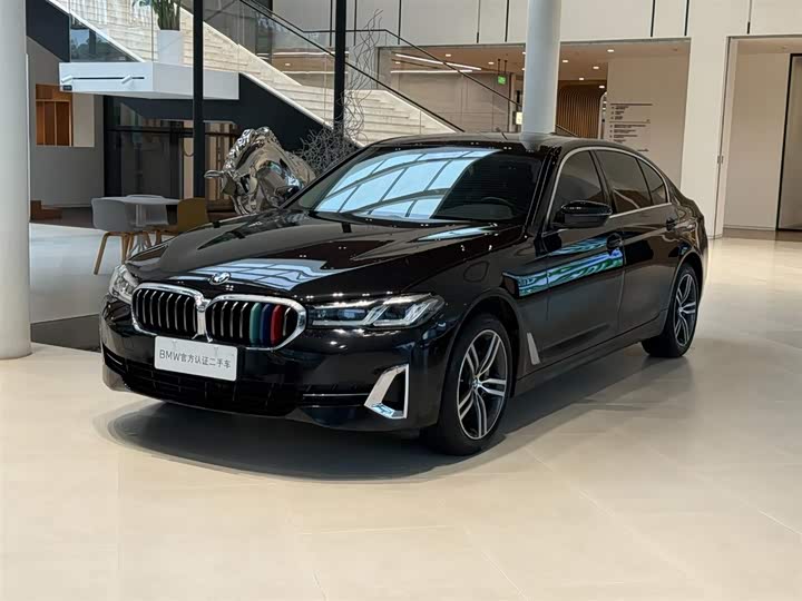 2021 BMW 5 Series 2021 530Li Leading Luxury Package