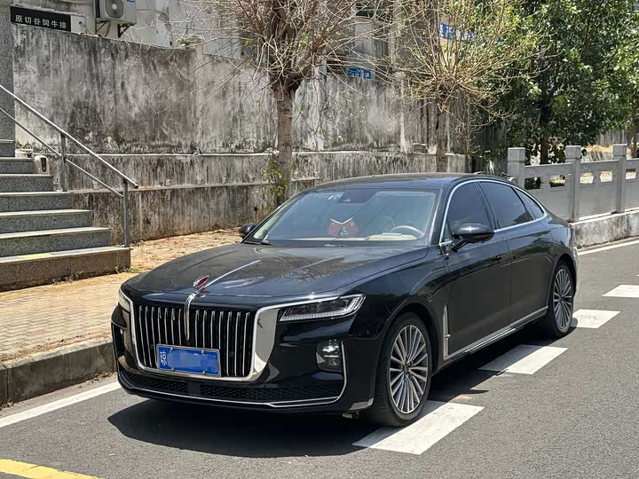 H9 2020 Model 2.0T Edition