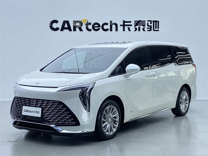 Century 2023 2.0T Six-Seater Yunshi Edition