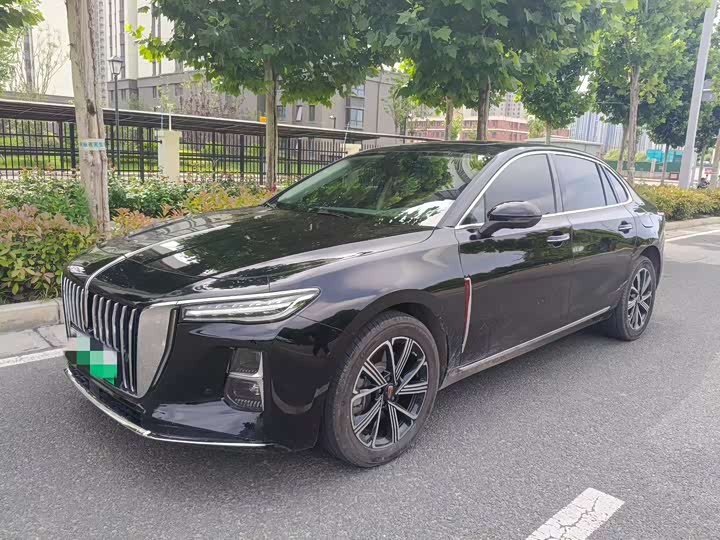 H5 PHEV 2025 Model 170 Edition