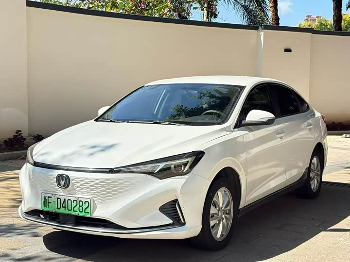 Eado EV 2022 EV460 Intelligent Ride-Hailing Edition LFP