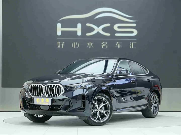 BMW X6 2023 xDrive40i M Sport Package
