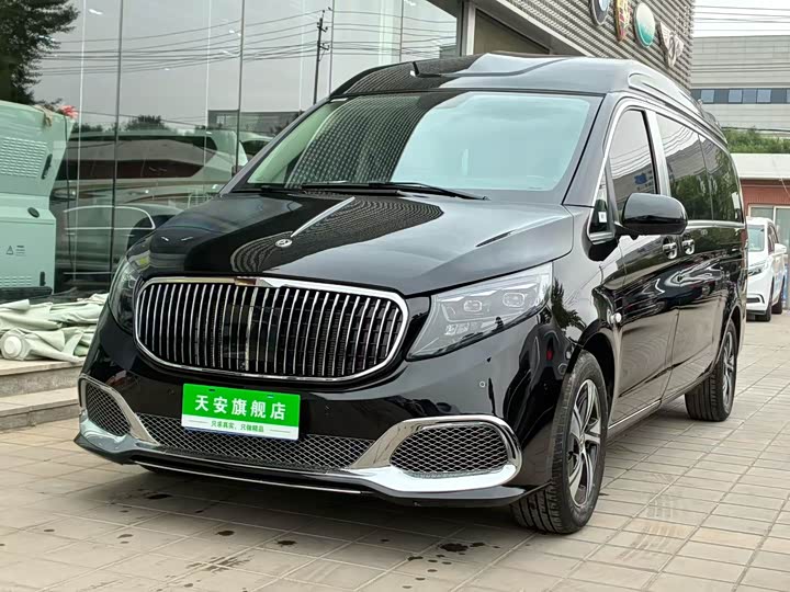 2025 Rhine Traveler 2024 2.0T Vito Fashion Edition