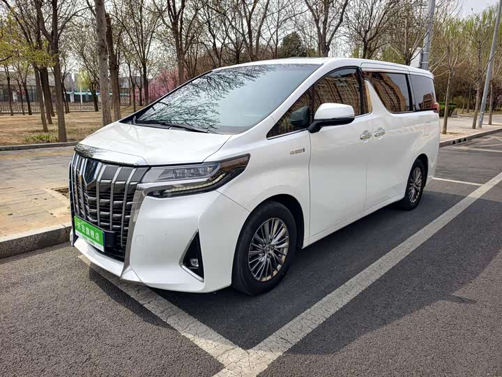 Alfa 2020 Shuangqing 2.5L Premium Edition