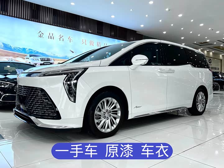 Century 2023 2.0T seven-seat Yuanshi Edition