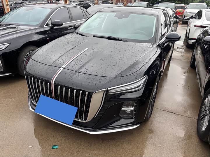 H5 2025 Model 1.5T DCT Edition