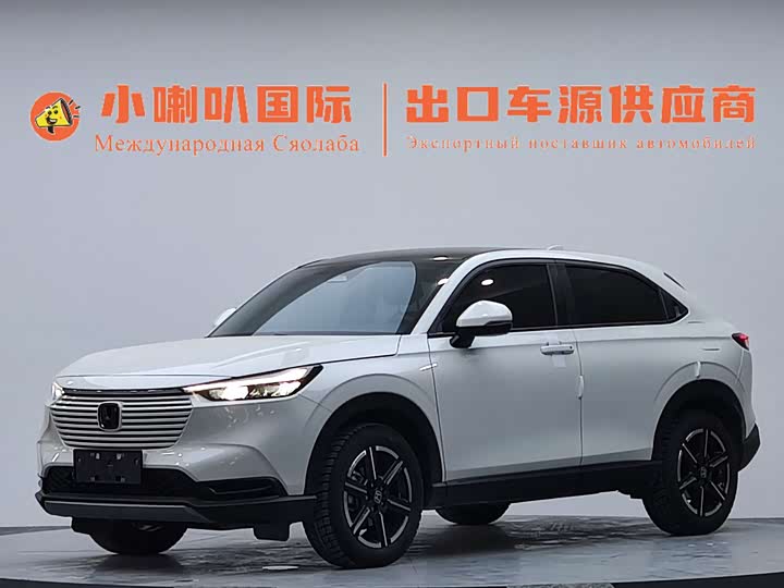 2023 Binzhi 2023 1.5L CVT Pioneer Edition