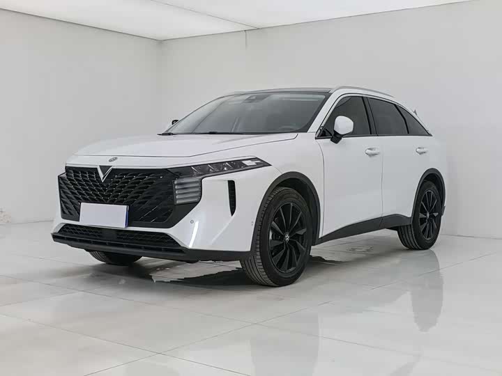 Venucia V 2022 model 260T dark horse version·Tianwang 