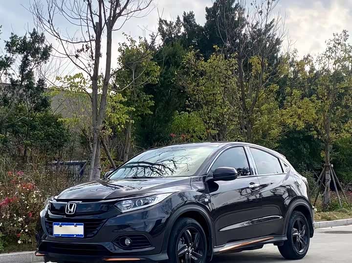 2021 Binzhi 2020 1.5L CVT Pioneer Edition