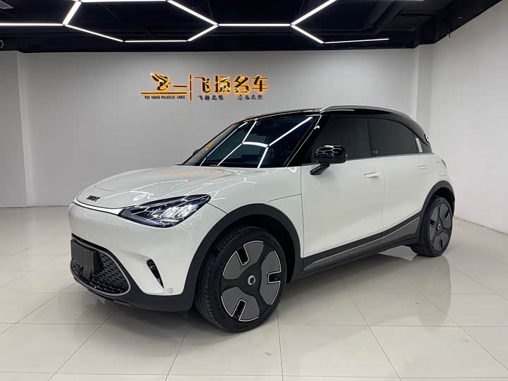 smart elf #1 2024 smart luxury version
