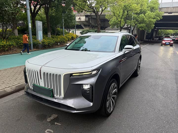 2021 HongqiE-HS9 2021 Model 510km Qiling Edition Four-seat