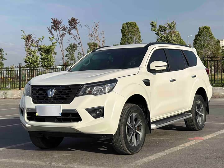 2024 Paladin 2024 Model 2.0T 4WD Premium Edition
