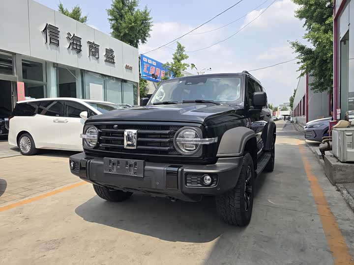 2021 Tank 300 2021 Off-Road Version 2.0T Conqueror