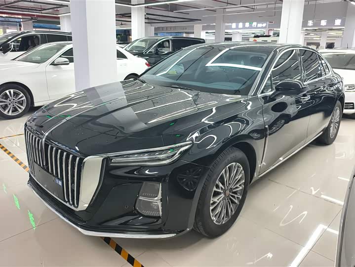 H5 2024 Model 1.5T DCT Edition