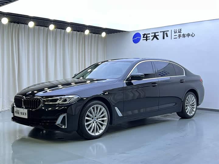 BMW 5 Series + 2021 model + 530Li + Exclusive model + Luxury package +