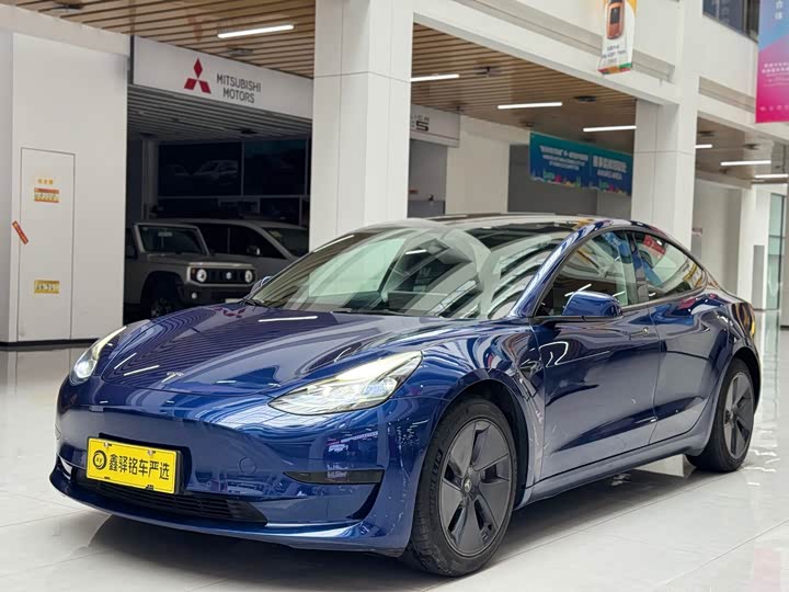Model 3 2021 standard range rear drive upgraded version 3D6