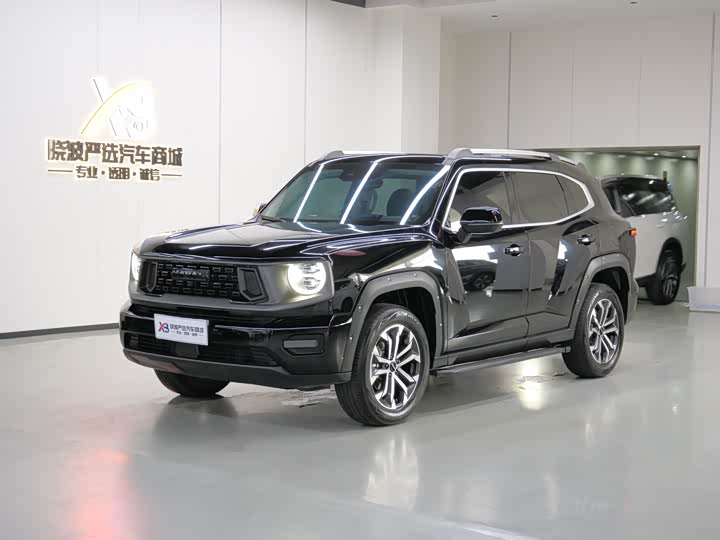 2025 Haval Big Dog PLUS 2023 2.0T two-wheel drive wild version Plus