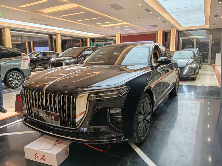 H9 2024 Model 2.0T Edition