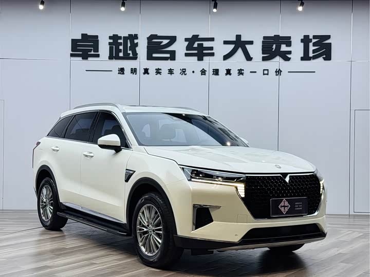 Venucia 2021 260T automatic 48V mild hybrid supercharged star enjoy success version