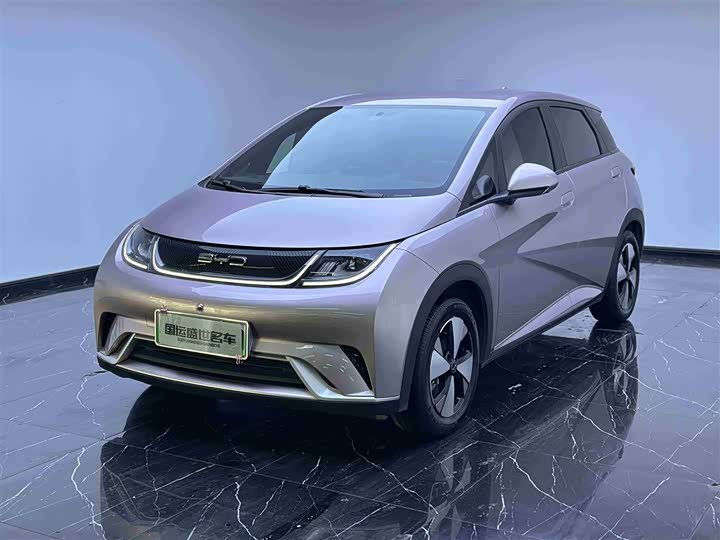 2023 Dolphin 2023 420km Free Edition