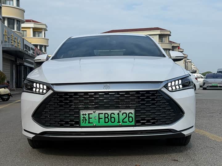 Qin PLUS 2024 Honor Edition DM-i 55KM Leading Type
