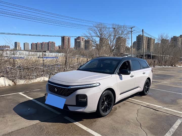Baojun Valli 2021 1.5T Ili Ranch CVT Deluxe Edition