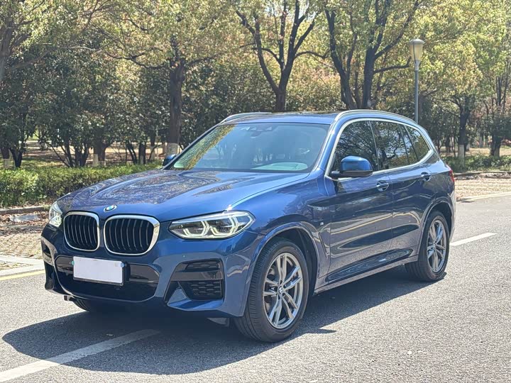 2021 BMW X3 2021 xDrive25i M Sports Package