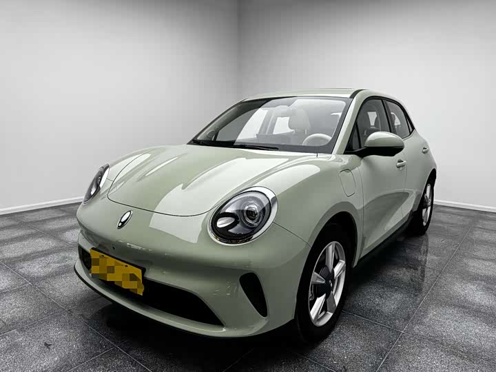 Euler Good Cat 2025 430km luxury model