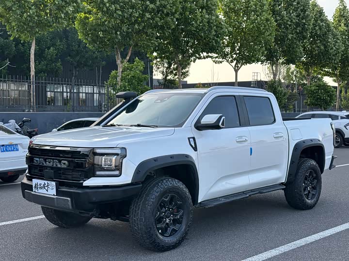 2023 DaDao 2023 Flying General 2.3T gasoline automatic four-wheel drive extreme version