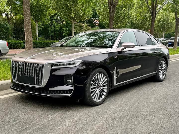 Hongqi H9 2020 3.0T Zhilian Qichang Edition