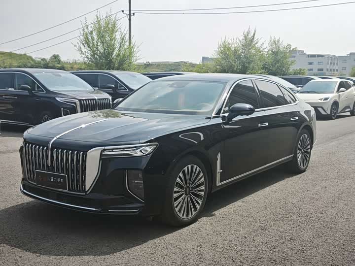 Hongqi H9 2024 2.0T Qichang Luxury Business Edition