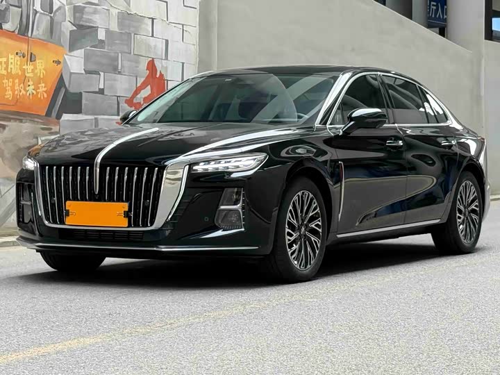Hongqi H5 2024 2.0T Automatic Zhilianqichang Edition