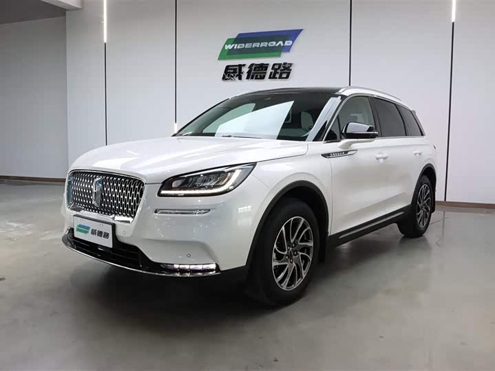 2021 Adventurer 2021 2.0T Two-wheel drive Premium Edition
