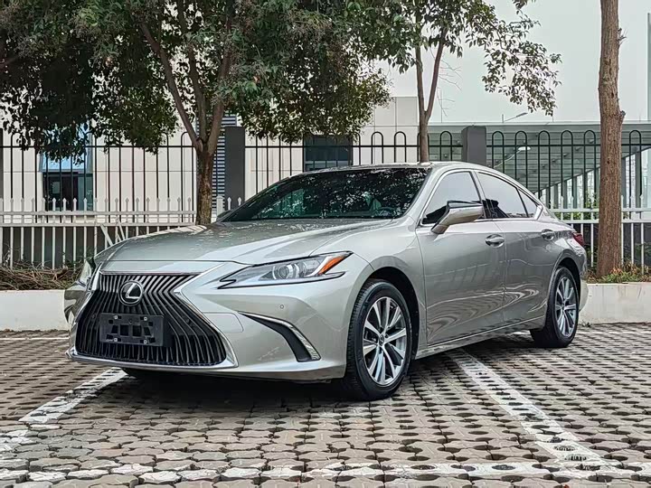 Lexus ES 2020 260 Excellence Edition National V