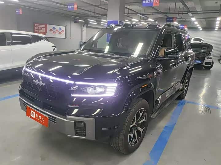 2025 Leopard 8 2025 Zhiyong flagship version 7 seats