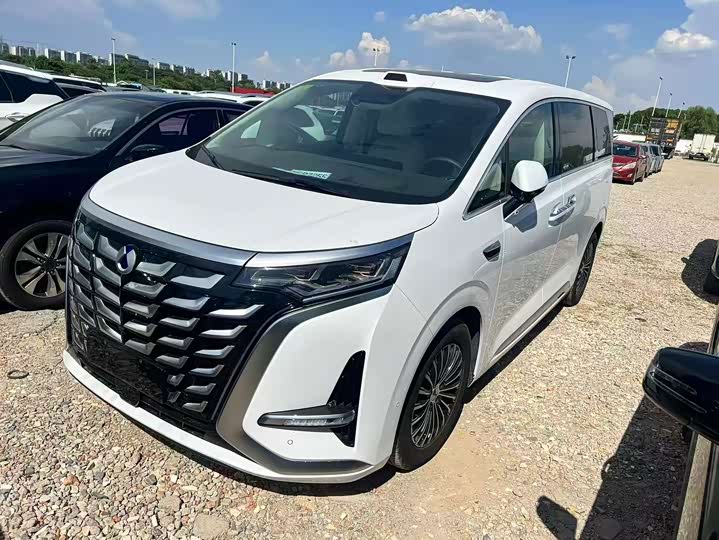 Denza D9 2025 DM-i smart driving version 1020 four-wheel drive flagship model