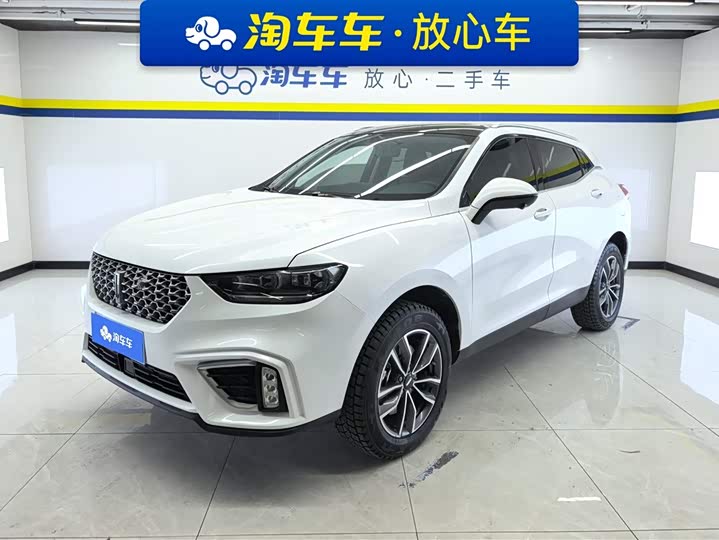 2021 WEY VV5 2021 1.5T 2WD Pioneer Edition