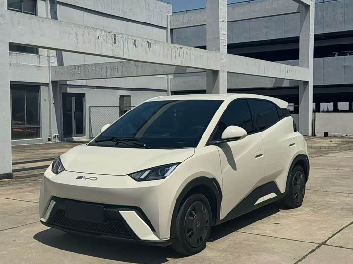 2024 Seagull 2024 Honor Edition 305km Free Edition