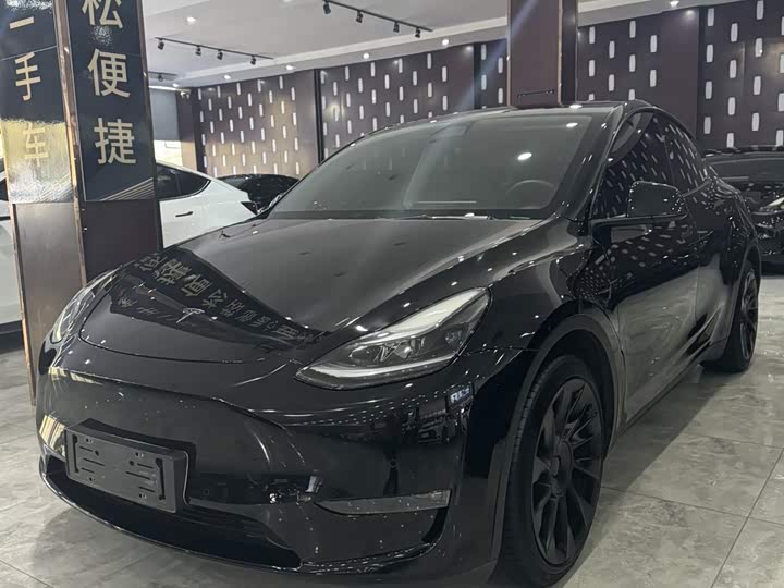 2021 Model Y 2021 standard range rear-wheel drive version