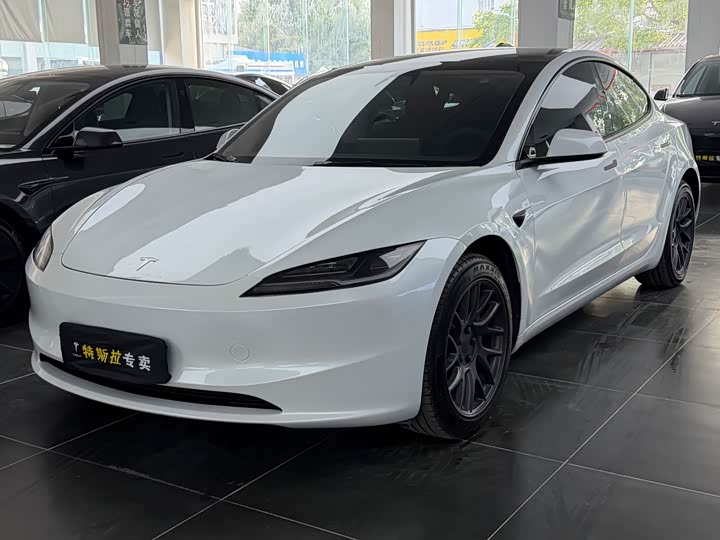 2025 Model 3 2025 Model Long Range Rear-Wheel Drive Edition