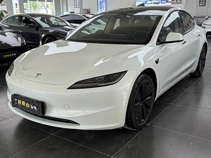2025 Model 3 2025 rear-wheel drive version
