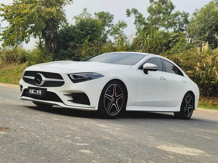 2021 Mercedes-Benz CLS 2021 Model CLS 300 LuxuryModel
