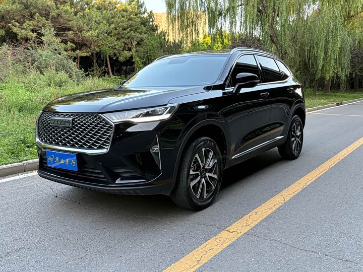 2024 Haval H6 2022 third generation 1.5T automatic two-wheel drive Pro