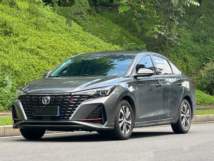 Yidong 2023 Changxiang Edition PLUS Blue Whale NE 1.4T GDI DCT Distinguished Edition