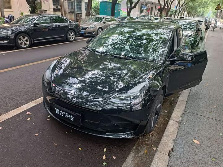 2022 Model 3 2022 rear-wheel drive version
