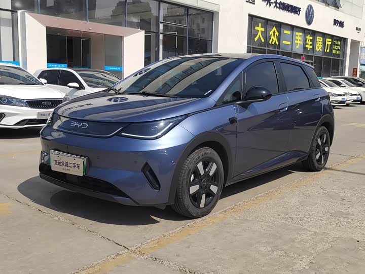 Dolphin 2025 smart driving version 410km fashion version
